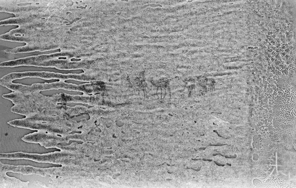 View of Wilfred Thesiger's travelling ...