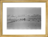 View of Wilfred Thesiger's party ...