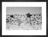Landscape of a valley floor ...