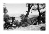 View from the summit of ...