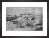 View of ghaf [Prosopis cineraria] ...