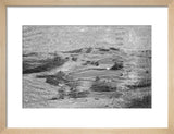 View of ghaf [Prosopis cineraria] ...