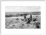 View of a group of ...