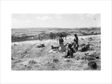 View of a group of ...