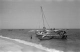 View of men unloading dhows ...