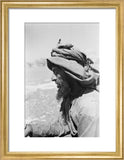 Profile portrait of a guide ...