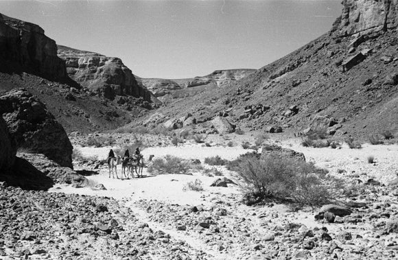 View of Wilfred Thesiger's Bedouin ...