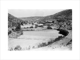 View of terraced cultivated fields ...