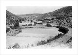 View of terraced cultivated fields ...