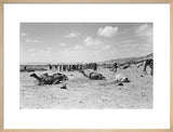 View of a group of ...