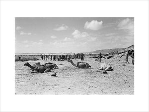 View of a group of ...