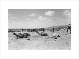View of a group of ...