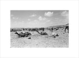 View of a group of ...