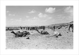 View of a group of ...