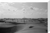 View of desert landscape in ...
