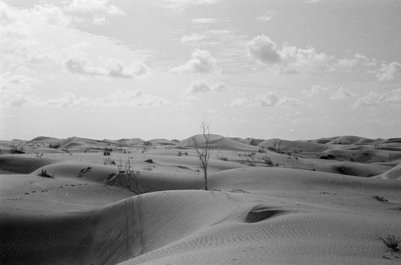 View of desert landscape in ...