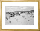 View of Wilfred Thesiger's party ...