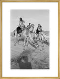 View of Sheikh Zayed bin ...