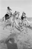 View of Sheikh Zayed bin ...