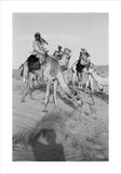View of Sheikh Zayed bin ...
