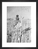 Portrait of a tribesman of ...
