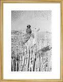 Portrait of a tribesman of ...
