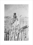 Portrait of a tribesman of ...