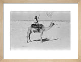 View of a member of ...