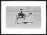 View of a member of ...