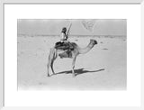 View of a member of ...
