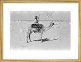 View of a member of ...