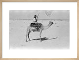View of a member of ...