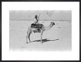 View of a member of ...