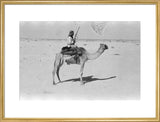 View of a member of ...