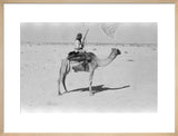 View of a member of ...