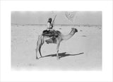 View of a member of ...