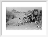 Wilfred Thesiger's party watering camels ...