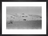 View of two members of ...