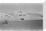 View of two members of ...