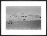 View of two members of ...