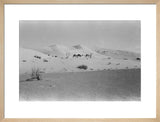 View of two members of ...