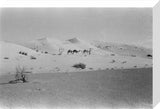 View of two members of ...