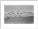 View of two members of ...