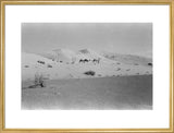 View of two members of ...