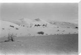 View of two members of ...