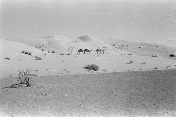 View of two members of ...