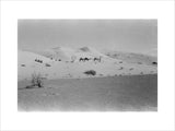 View of two members of ...