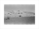 View of two members of ...