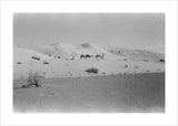 View of two members of ...