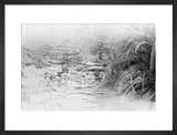 [image indistinct]    ...